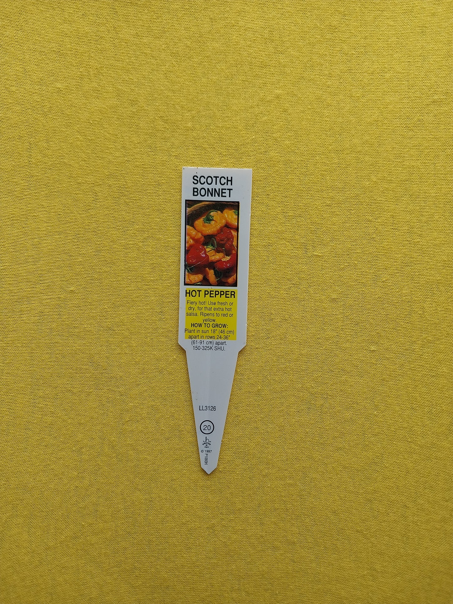 40 Scotch Bonnet Pepper Seeds