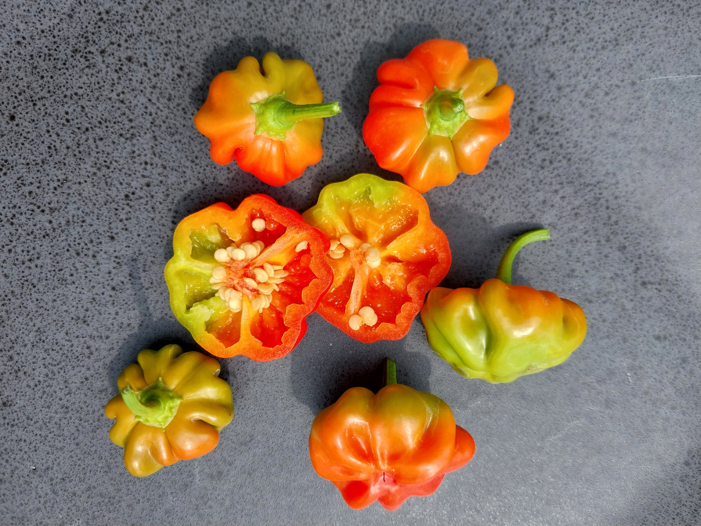 30+ Brazilian Starfish Red Pepper Seeds SHU 5,000-30,000