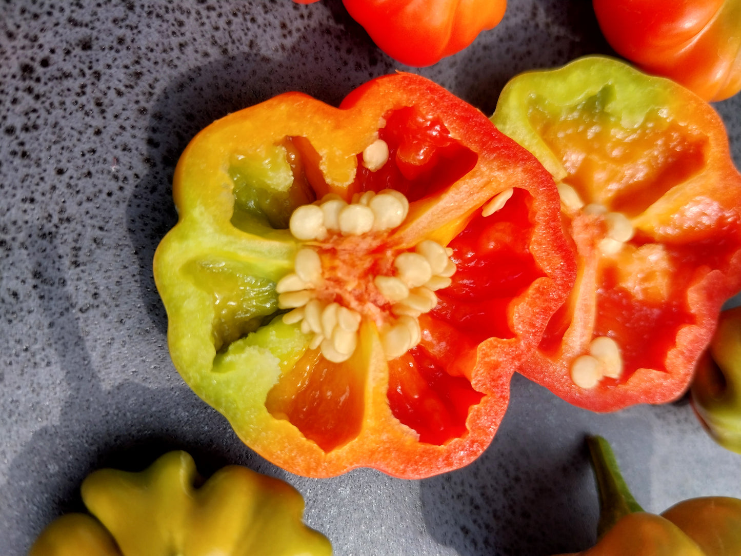 30+ Brazilian Starfish Red Pepper Seeds SHU 5,000-30,000