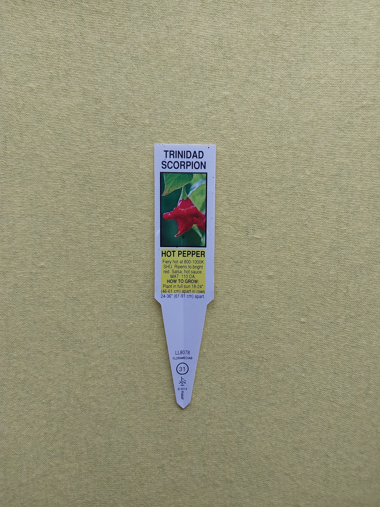 40 Trinidad Scorpion Pepper Seeds