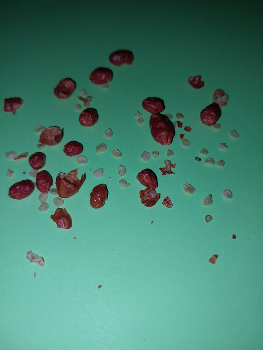 40 Chili Pequin Pepper Seeds